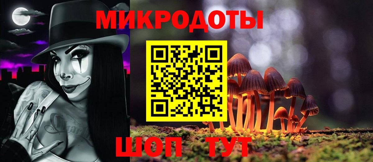 Осинники  продажа наркотиков  Псилоцибиновые грибы Psilocybe  Вход с VPN  Галлюциногенные грибы Psilocybe 